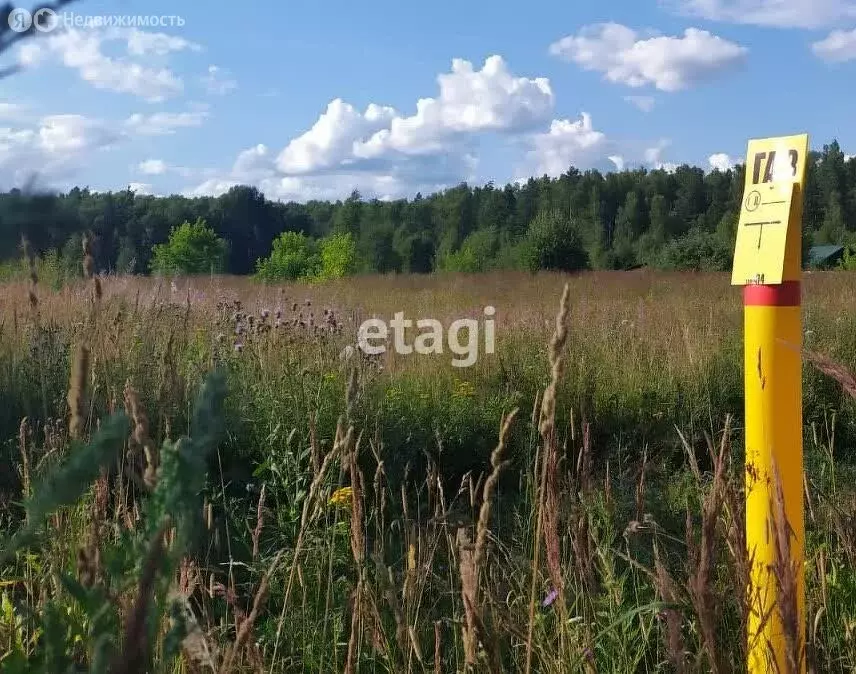 Участок в Киржачский район, муниципальное образование Филипповское, ... - Фото 0