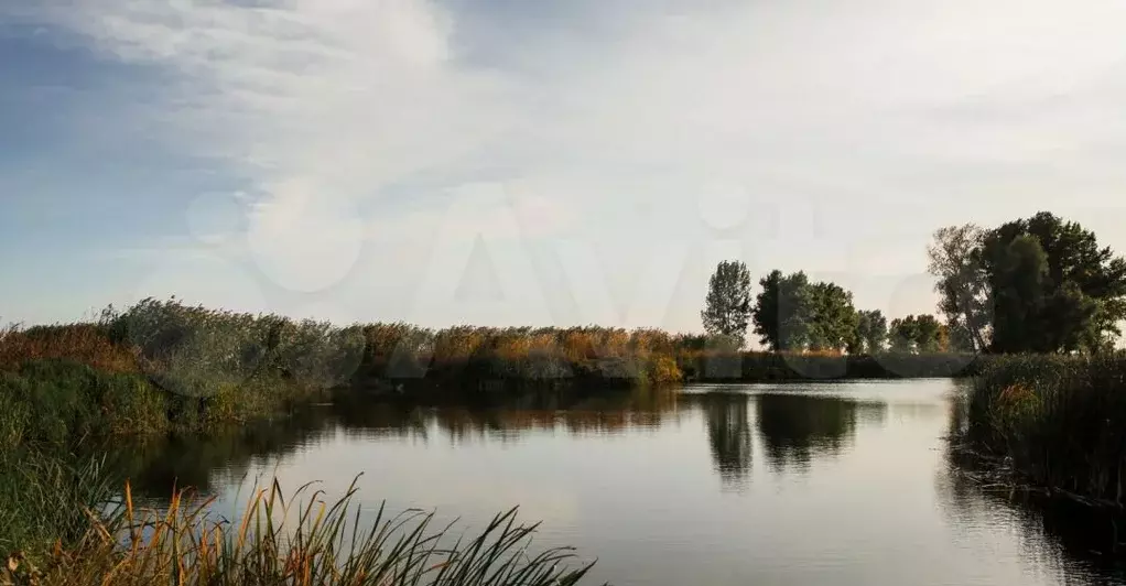 Участок 10 сот. (СНТ, ДНП) - Фото 0