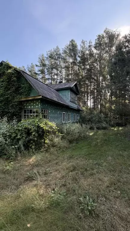 Дом в Псковская область, Усвятский муниципальный округ, д. Рыбаковы ... - Фото 1