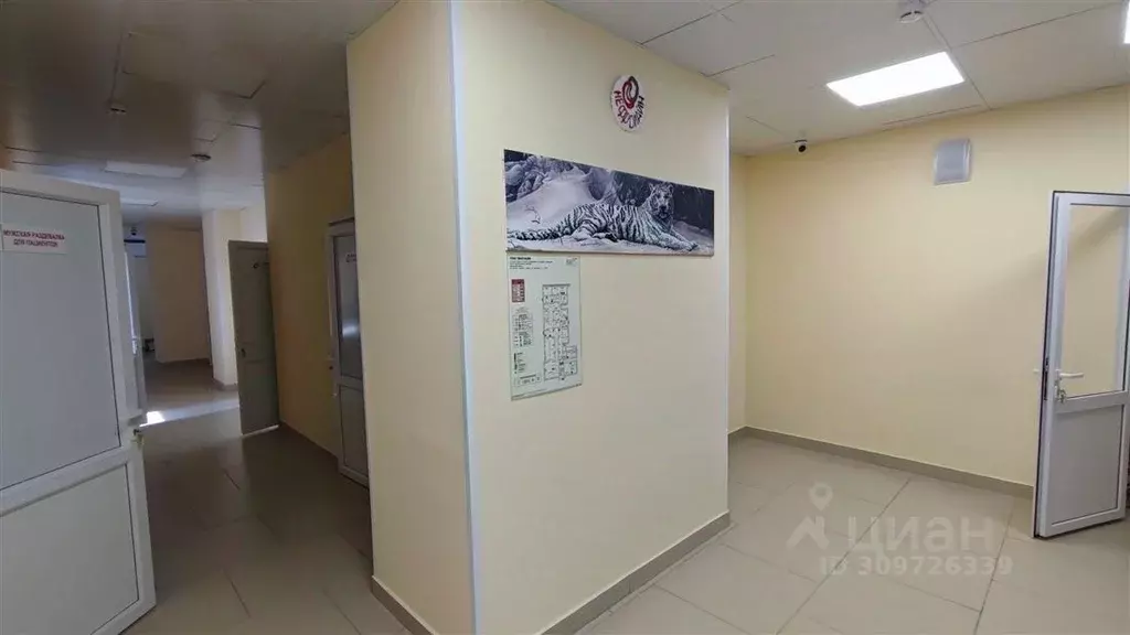 Офис в Томская область, Северск ул. Свердлова, 7 (476 м) - Фото 1