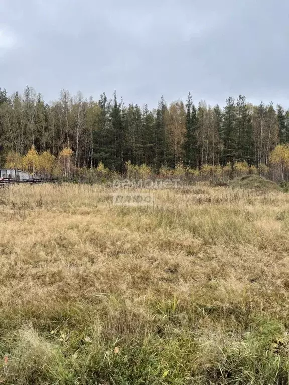 Участок в Нижегородская область, Павловский район, д. Самойловка  ... - Фото 0