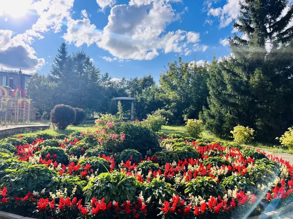 4-к кв. Татарстан, Казань ул. Касаткина, 20 (200.0 м) - Фото 1