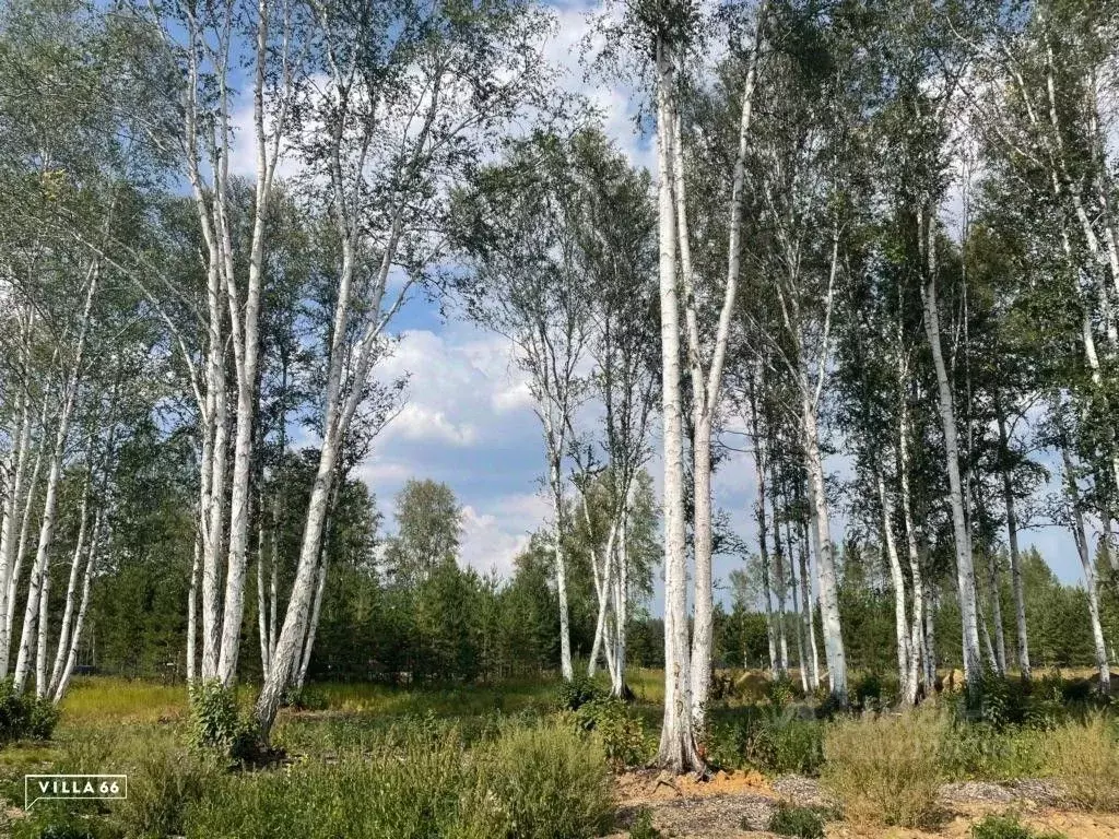 Участок в Свердловская область, Сысертский городской округ, пос. ... - Фото 0