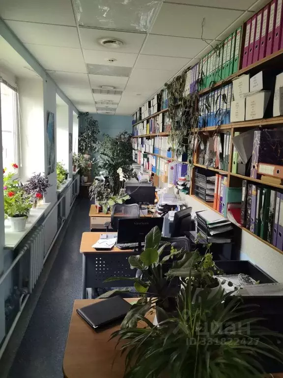 Помещение свободного назначения в Тульская область, Тула ул. Болдина, ... - Фото 2