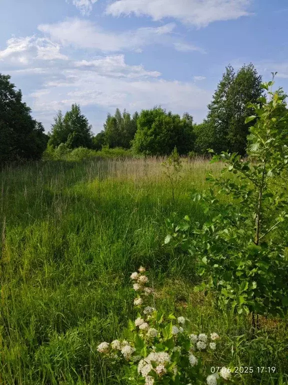 Участок, 11.6 сот., сельхоз (снт или днп) - Фото 1