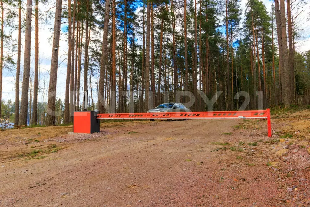 Участок в Приозерский район, Громовское сельское поселение, посёлок ... - Фото 1