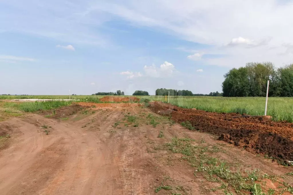 Участок в Тюменская область, Тюменский муниципальный округ, ... - Фото 1