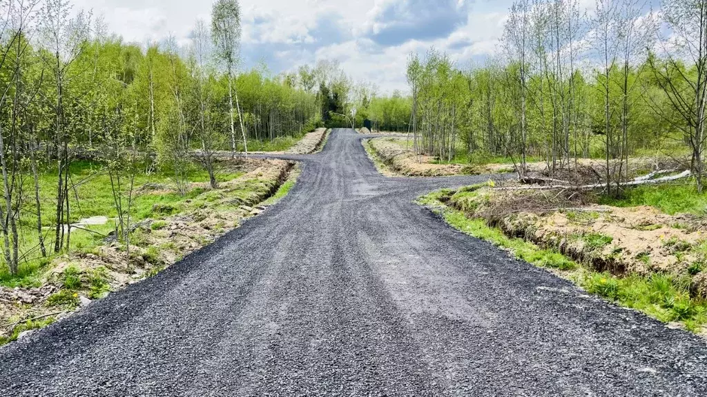 Участок в Московская область, Дмитровский муниципальный округ, с. ... - Фото 2