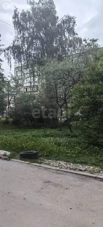 Квартира-студия: Муром, улица Льва Толстого, 52 (29 м) - Фото 1