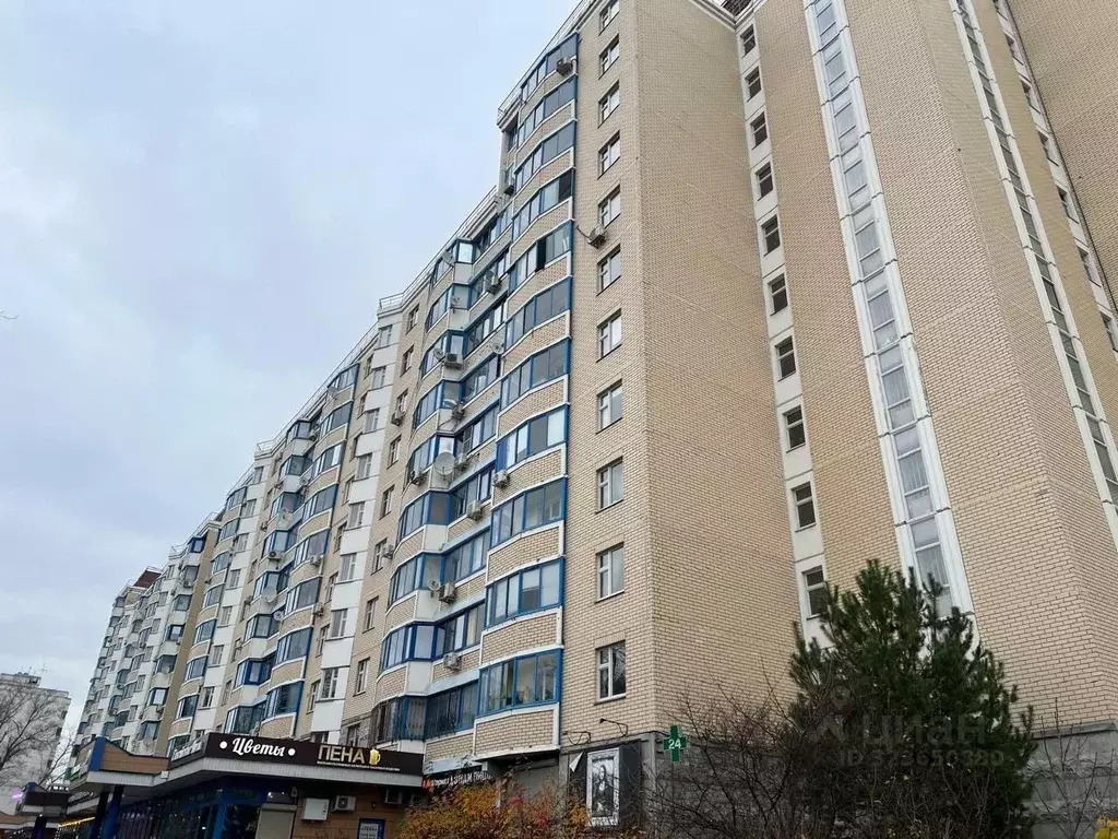 1-к кв. Московская область, Одинцовский городской округ, с. Немчиновка ... - Фото 2