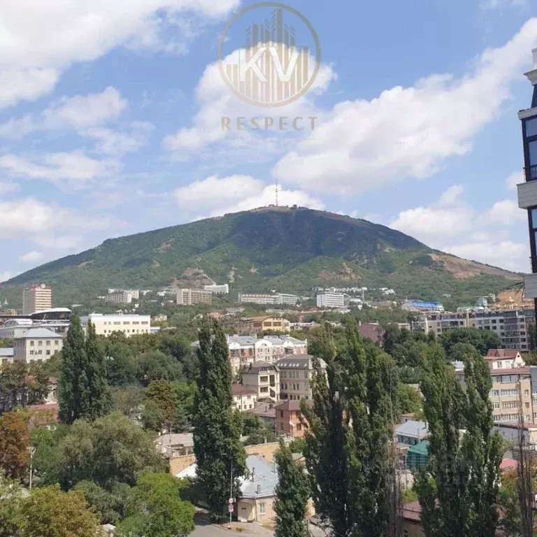 3-к кв. Ставропольский край, Пятигорск Железнодорожная ул., 121 (72.0 ... - Фото 1