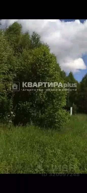 Участок в Свердловская область, Невьянский муниципальный округ, пос. ... - Фото 1