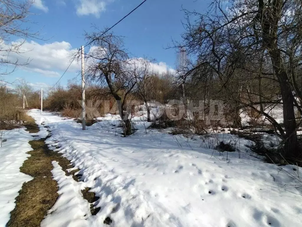 Участок в Брянская область, Брянск Березка садоводческое объединение,  ... - Фото 2