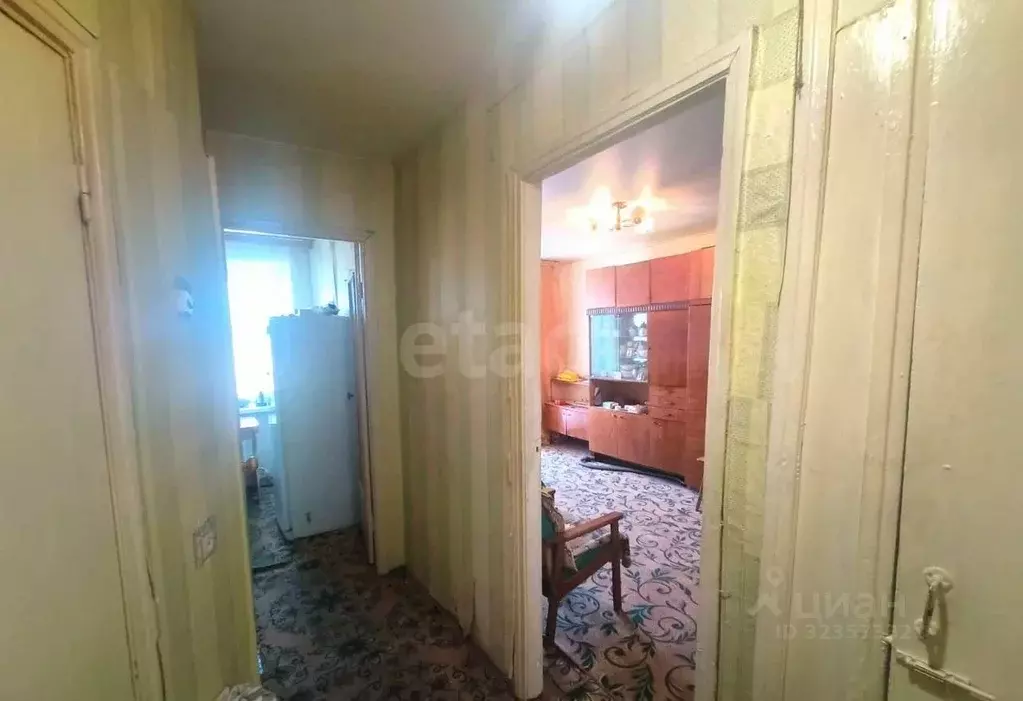 1-к кв. Владимирская область, Покров городской округ, д. Головино ул. ... - Фото 1