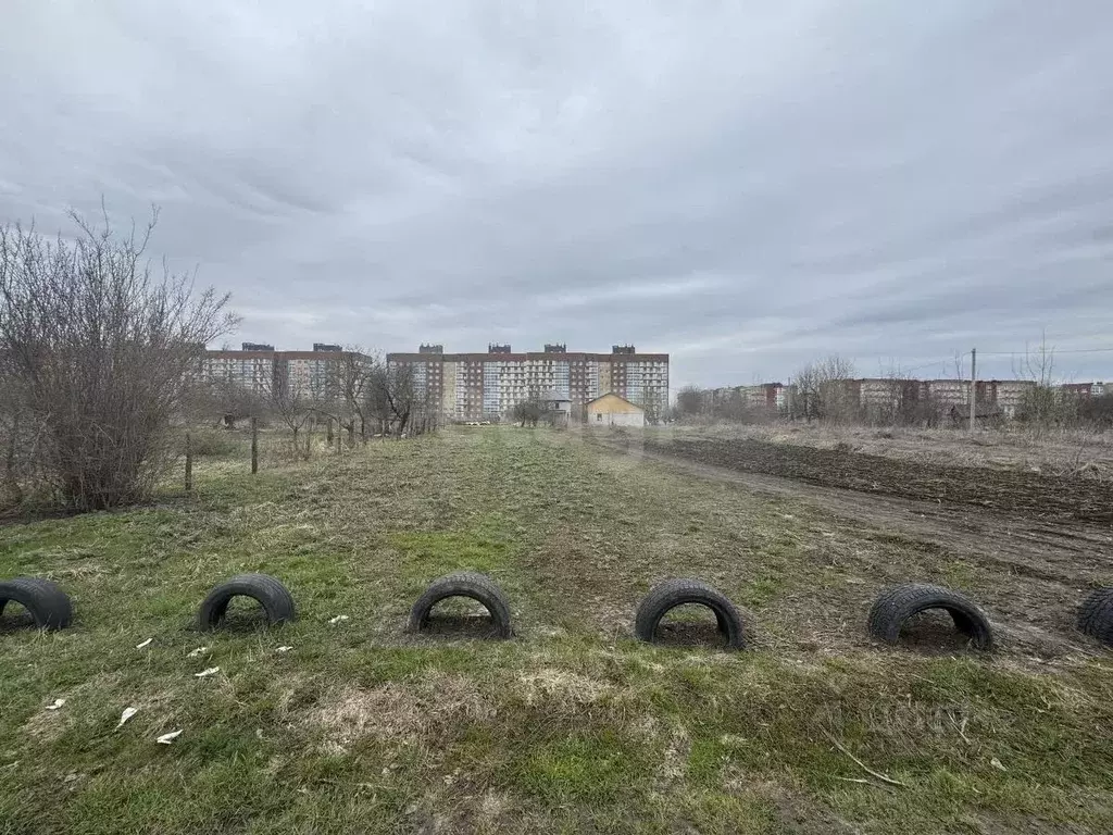 Участок в Брянская область, Брянск СО Ласточка тер.,  (6.67 сот.) - Фото 2