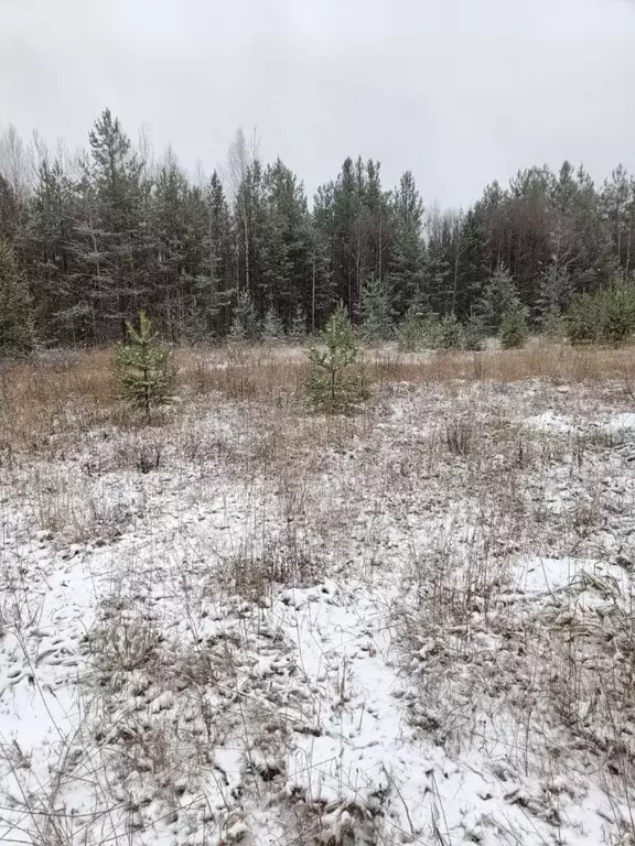 Участок в Коми, Корткеросский район, Додзь муниципальное образование, ... - Фото 2