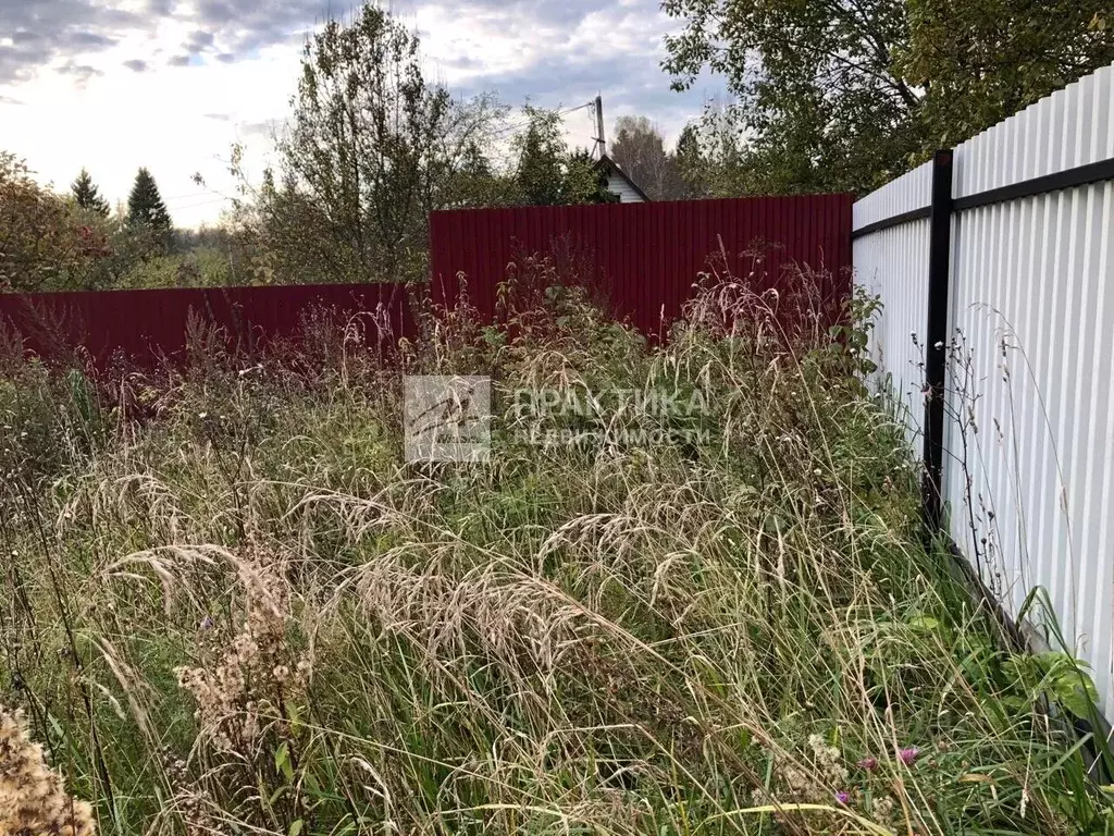 Участок в Московская область, Рузский муниципальный округ, Анюта СНТ  ... - Фото 1