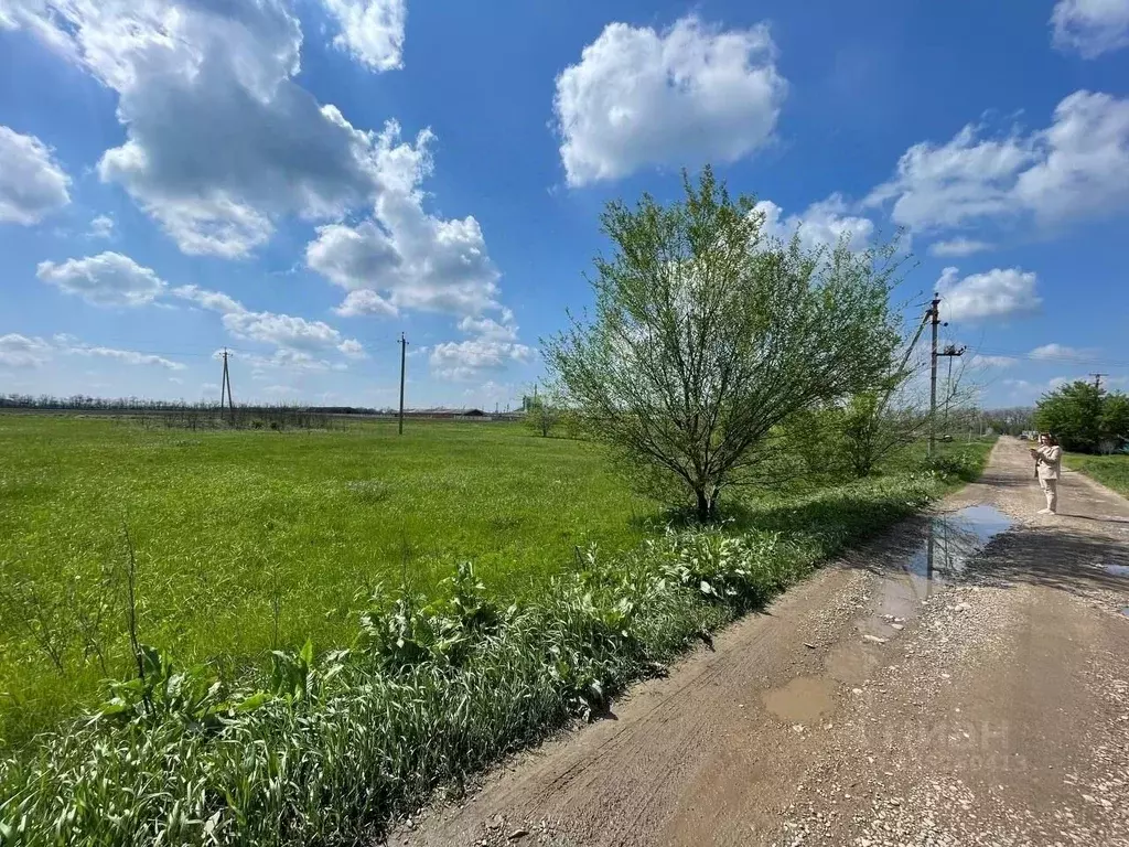 Участок в Краснодарский край, с. Новосельское ул. Гагарина (15.0 сот.) - Фото 2