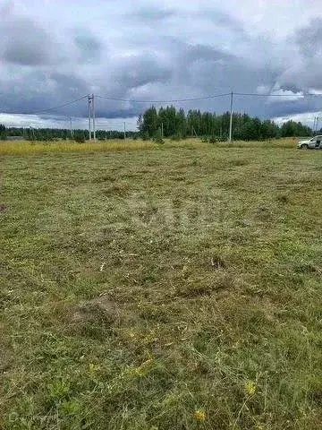 Участок в Костромская область, Кострома Соколиное Гнездо кп, 1 (10.5 ... - Фото 2