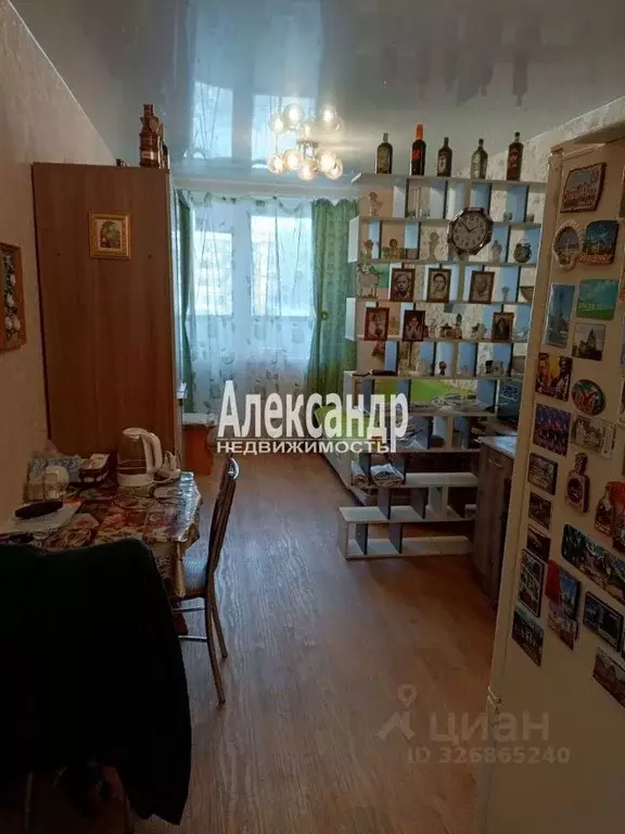 Студия Ленинградская область, Сертолово Всеволожский район, ул. ... - Фото 2