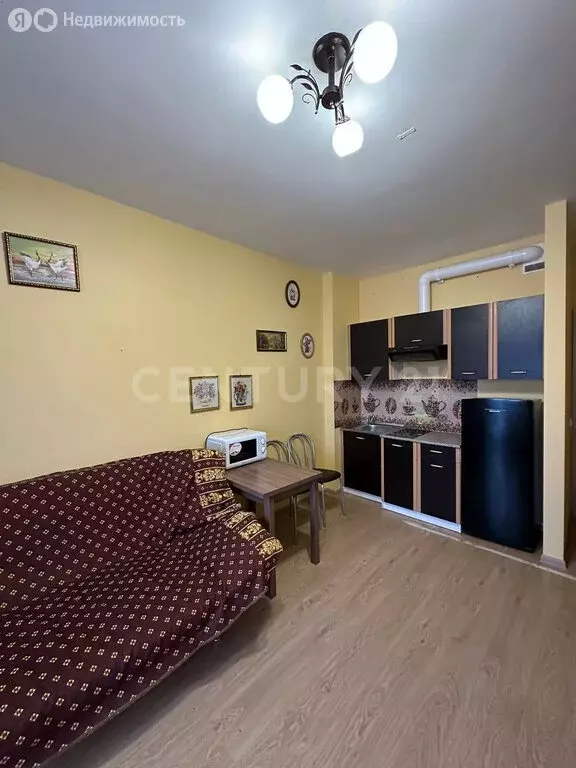 Квартира-студия: Санкт-Петербург, улица Адмирала Черокова, 22 (24 м) - Фото 2