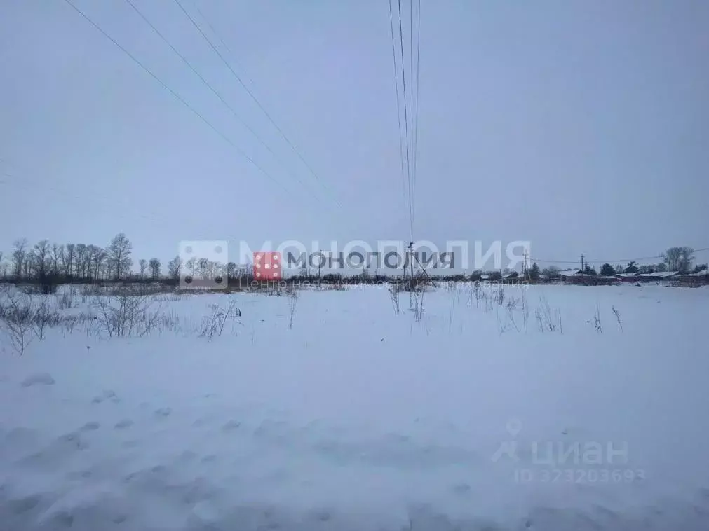 Участок в Амурская область, Белогорский муниципальный округ, с. ... - Фото 1