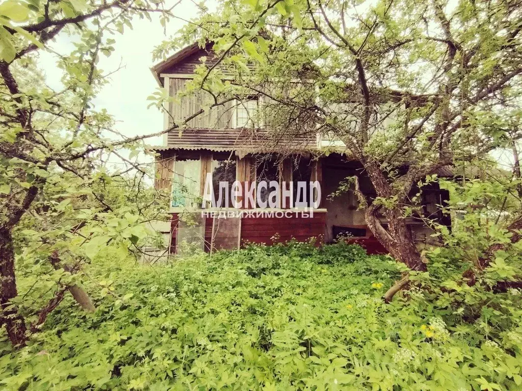 Дом в Ленинградская область, Гатчинский район, Дружная Горка городской ... - Фото 1