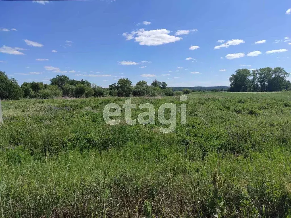 Участок в Свердловская область, Талицкий городской округ, д. Одина  ... - Фото 0