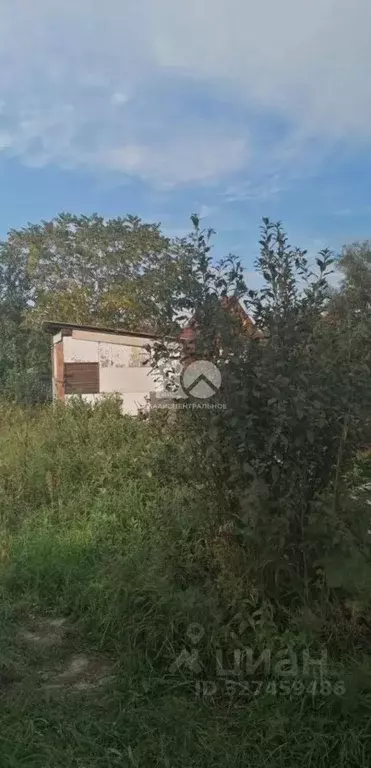 Участок в Новосибирская область, Колыванский район, Вечерний СНТ ул. ... - Фото 1