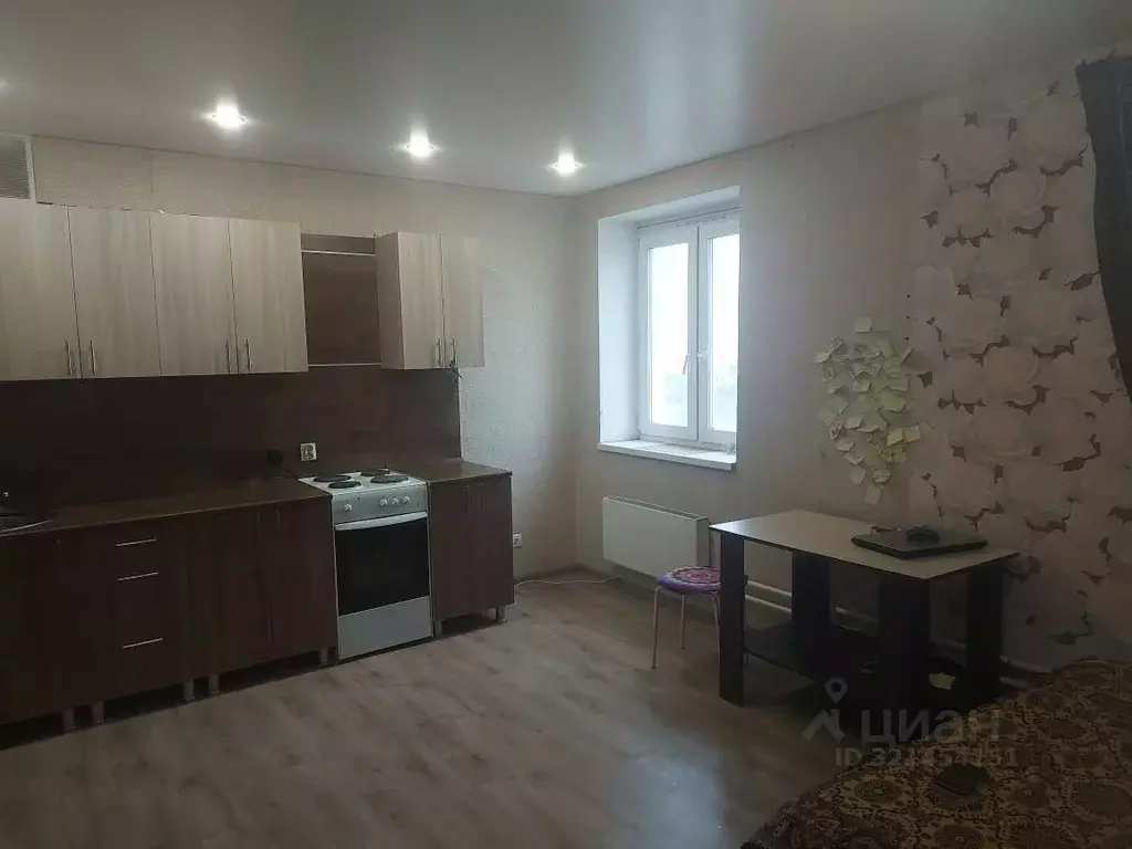 Студия Курганская область, Курган ул. Чкалова, 3 (31.0 м) - Фото 1