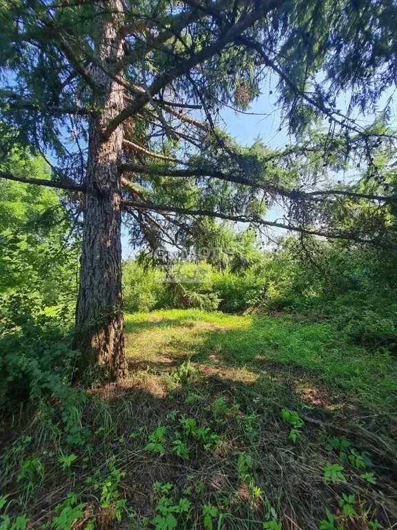 Участок в Ленинградская область, Тосненский район, Рябовское городское ... - Фото 1