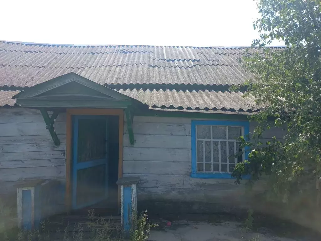 Дом в село Казачья Пелетьма, улица Лука, 1 (42 м) - Фото 1
