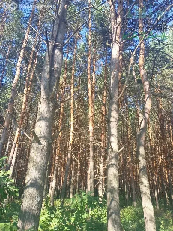 Участок в Казань, Куземетьевская улица, 22Г (6.34 м) - Фото 0