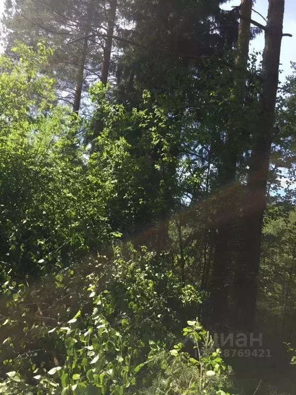 Участок, 10.3 сот., сельхоз (снт или днп) - Фото 1