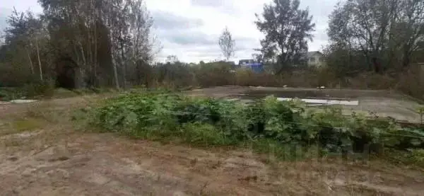 Участок в Московская область, Пушкинский городской округ, д. Невзорово ... - Фото 1