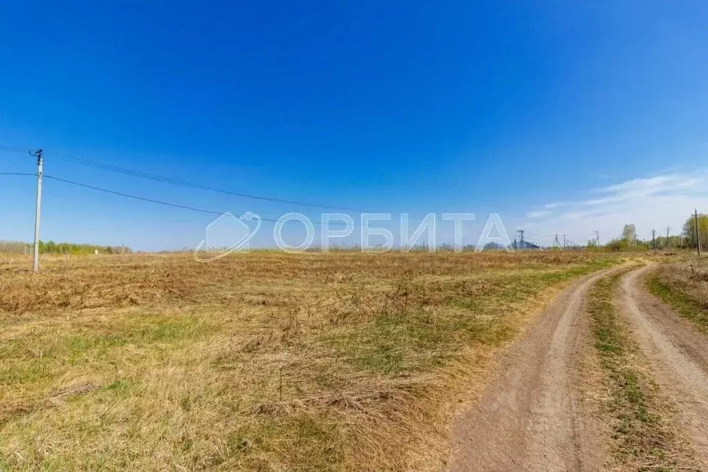 Участок в Тюменская область, Тюменский район, с. Горьковка Сибирская ... - Фото 2