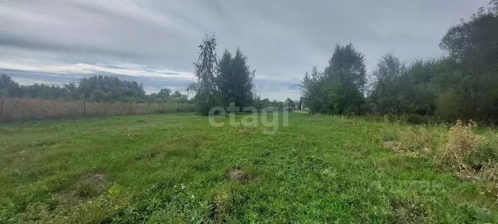 Участок в Воронежская область, Новоусманский район, Хреновское с/пос, ... - Фото 1