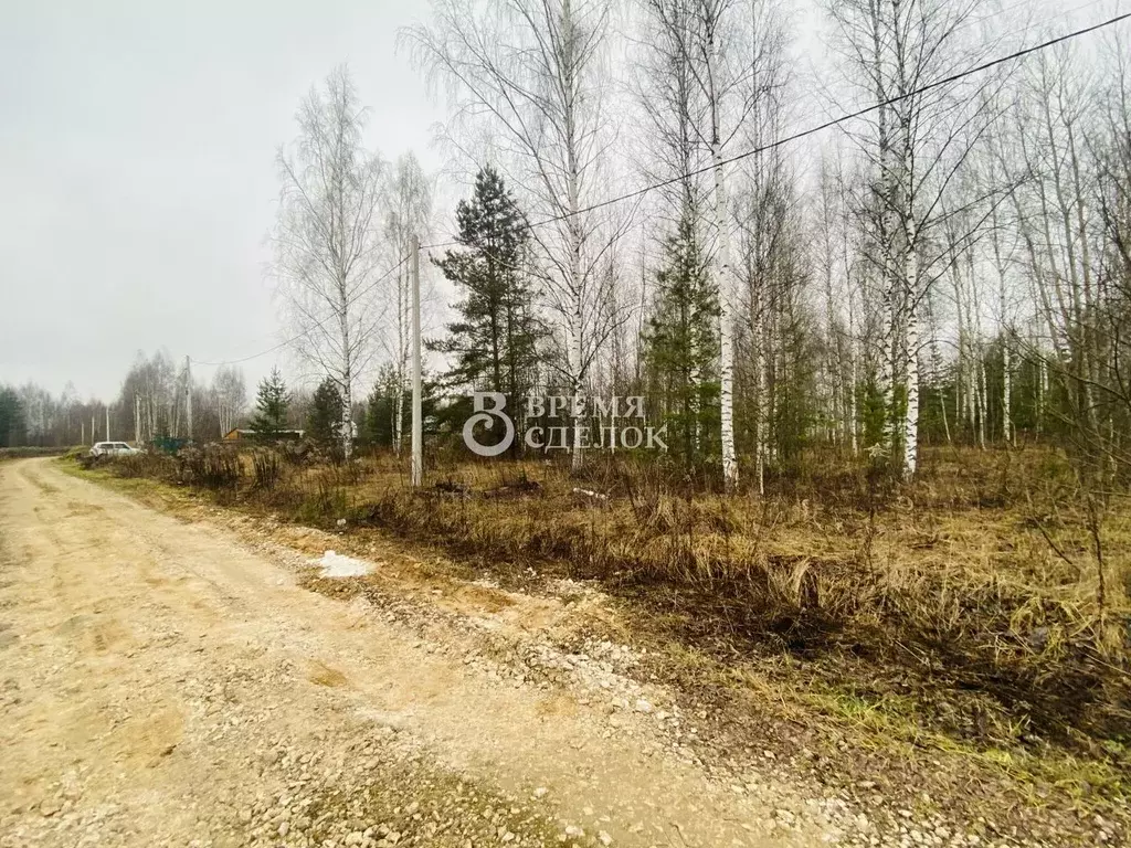 Участок в Владимирская область, Владимир ул. Большая Лукинская, 48 ... - Фото 1