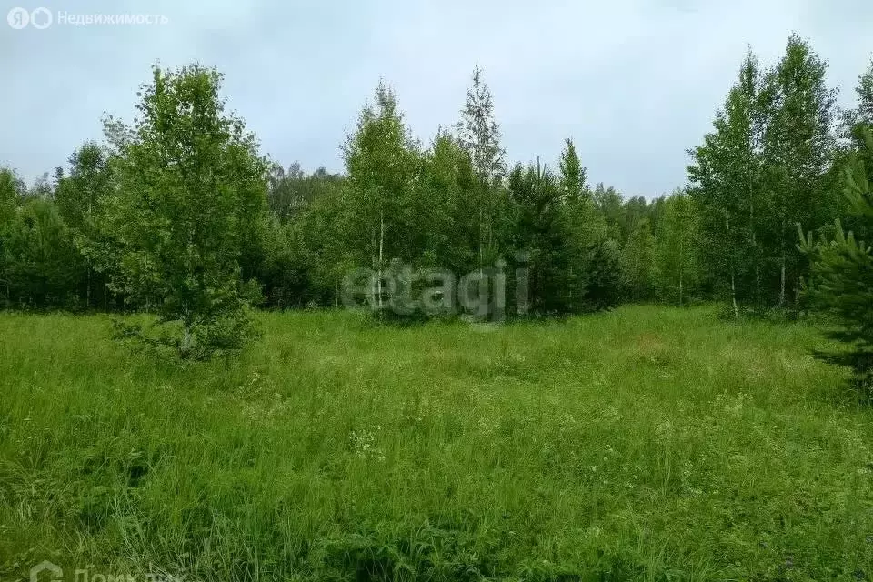 Участок в Челябинская область, Чебаркульский муниципальный округ, ... - Фото 1