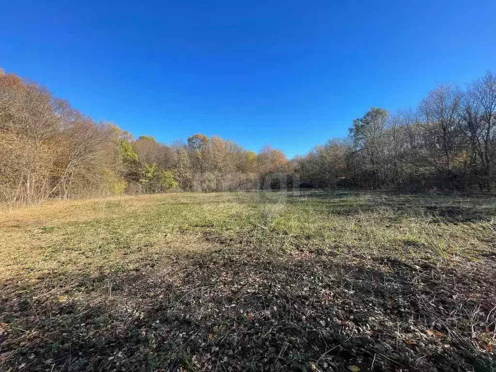 Участок в Крым, Кировский район, Первомайское с/пос, Заря СНТ пер. ... - Фото 1