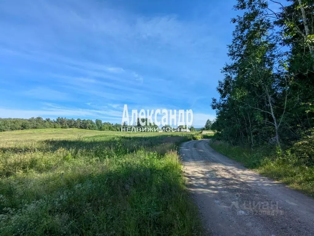 Участок в Карелия, Лахденпохский муниципальный округ, пос. ... - Фото 2