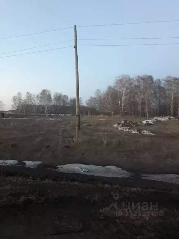 Участок в Кемеровская область, Кемеровский район, пос. Кузбасский ул. ... - Фото 1