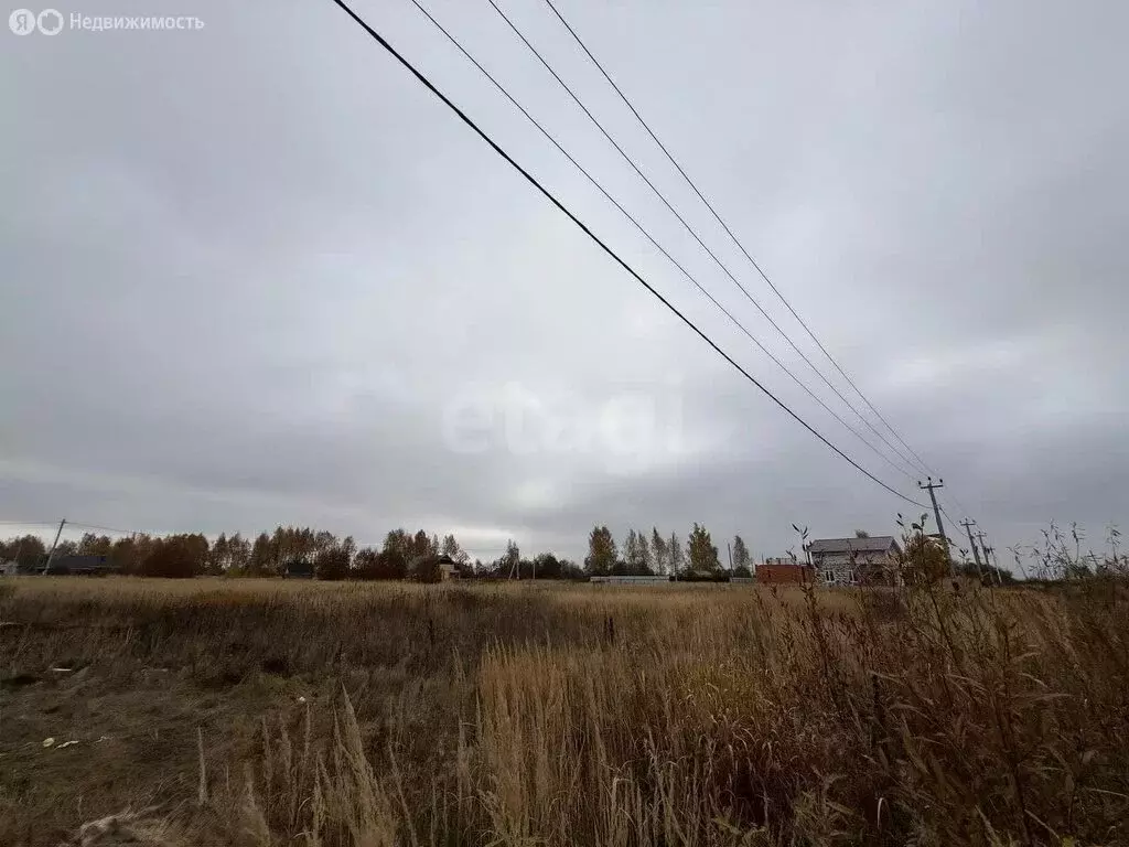 Участок в Кострома, коттеджный посёлок Первый (7.3 м) - Фото 2