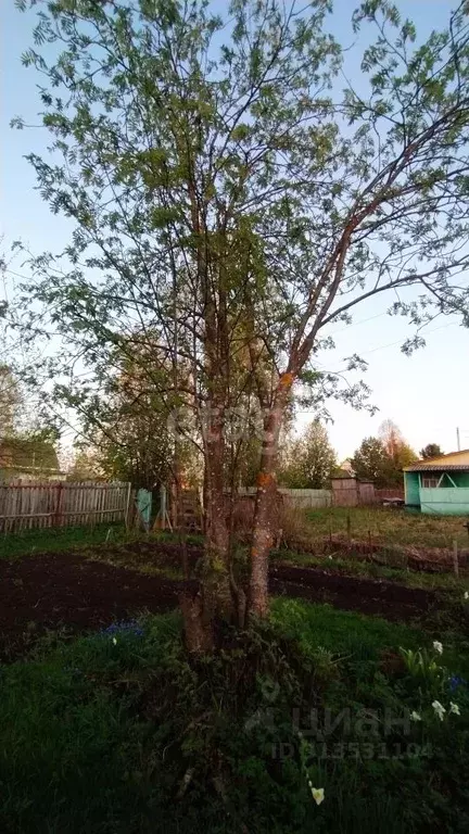 Участок в Архангельская область, Котласский муниципальный округ, ... - Фото 1