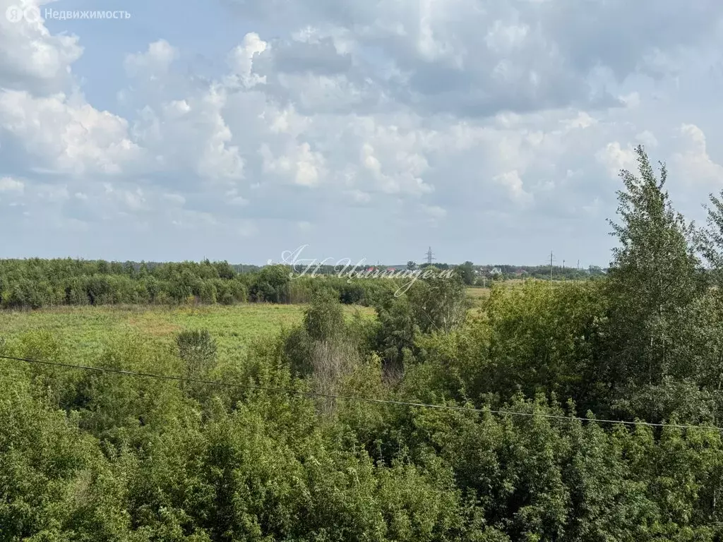 2-комнатная квартира: Клин, микрорайон Майданово, 4к2 (43 м) - Фото 2