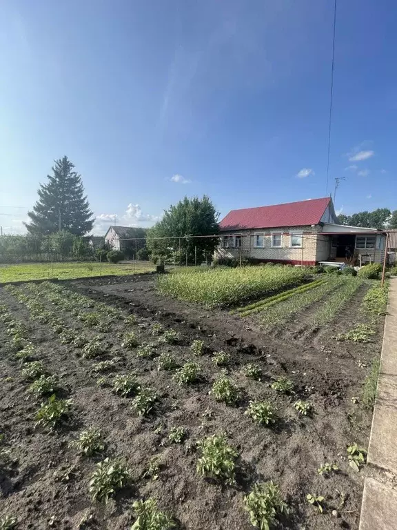 Дом в Тамбовская область, Никифоровский муниципальный округ, пос. ... - Фото 2