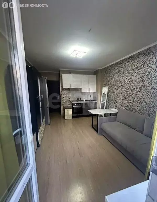 Квартира-студия: Санкт-Петербург, проспект Ветеранов, 169к3 (27 м) - Фото 1