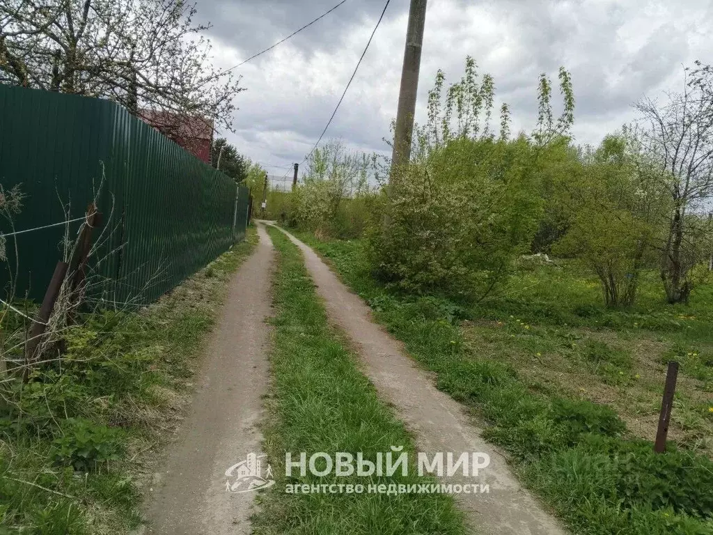 Участок в Нижегородская область, Бор Надежда СНТ, 123 (10.0 сот.) - Фото 2