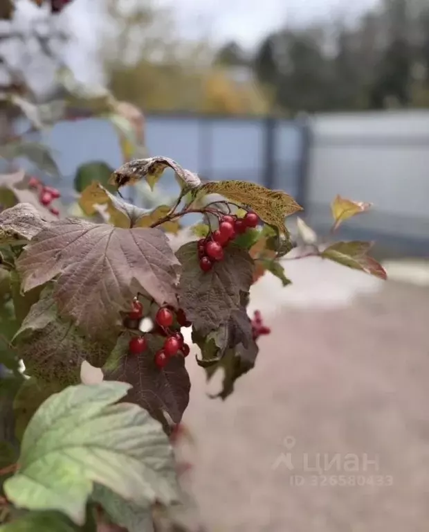 Дом в Ленинградская область, Кировский район, Синявинское городское ... - Фото 1