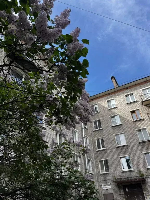 2-к кв. Санкт-Петербург Школьная ул., 6 (43.3 м) - Фото 1